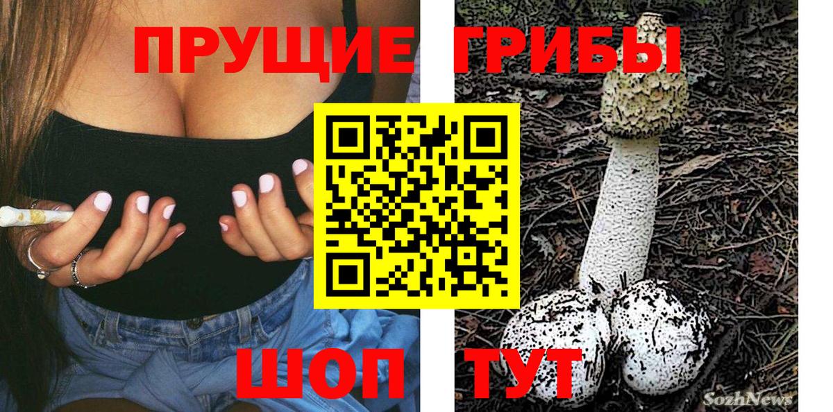 Чапаевск  Галлюциногенные грибы GOLDEN TEACHER  Вход с VPN 