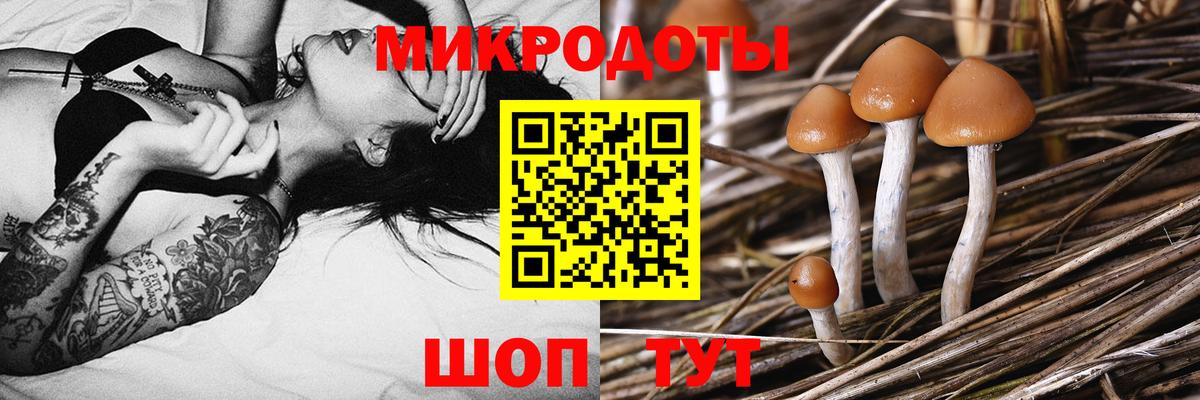 Псилоцибиновые грибы MAGIC MUSHROOMS Чапаевск